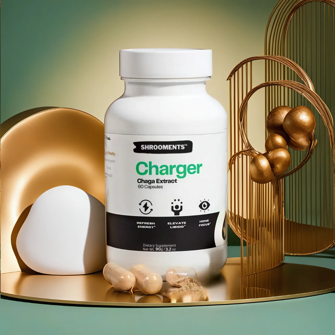 Charger - Chaga Extract